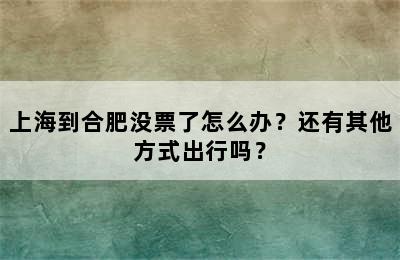 上海到合肥没票了怎么办？还有其他方式出行吗？