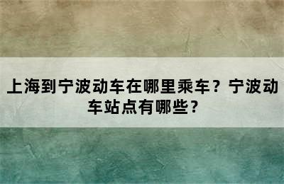 上海到宁波动车在哪里乘车？宁波动车站点有哪些？