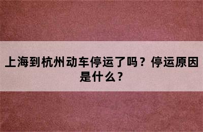 上海到杭州动车停运了吗？停运原因是什么？