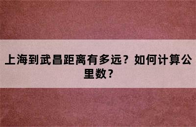 上海到武昌距离有多远？如何计算公里数？
