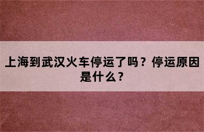上海到武汉火车停运了吗？停运原因是什么？