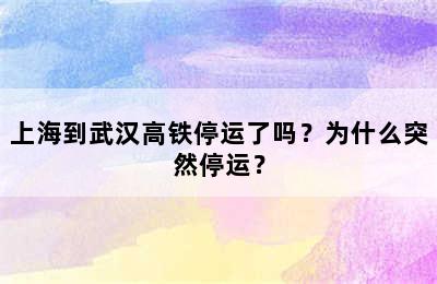 上海到武汉高铁停运了吗？为什么突然停运？