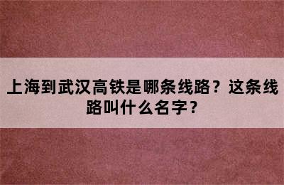 上海到武汉高铁是哪条线路？这条线路叫什么名字？