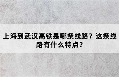 上海到武汉高铁是哪条线路？这条线路有什么特点？