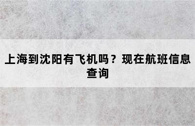 上海到沈阳有飞机吗？现在航班信息查询