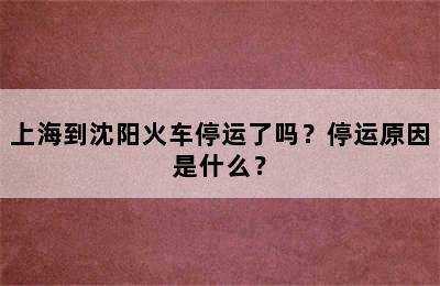 上海到沈阳火车停运了吗？停运原因是什么？