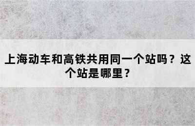 上海动车和高铁共用同一个站吗？这个站是哪里？