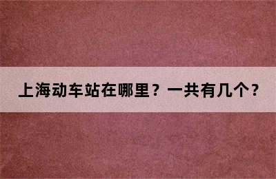 上海动车站在哪里？一共有几个？