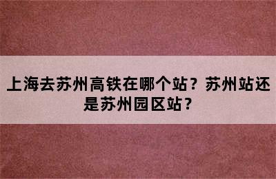 上海去苏州高铁在哪个站？苏州站还是苏州园区站？