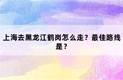 上海去黑龙江鹤岗怎么走？最佳路线是？
