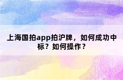 上海国拍app拍沪牌，如何成功中标？如何操作？