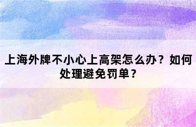 上海外牌不小心上高架怎么办？如何处理避免罚单？