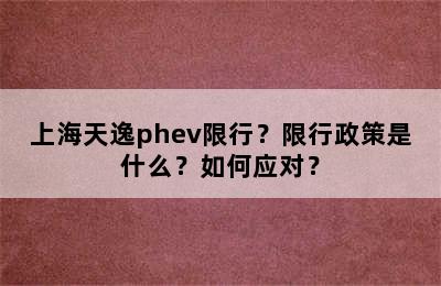 上海天逸phev限行？限行政策是什么？如何应对？
