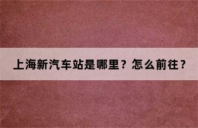上海新汽车站是哪里？怎么前往？