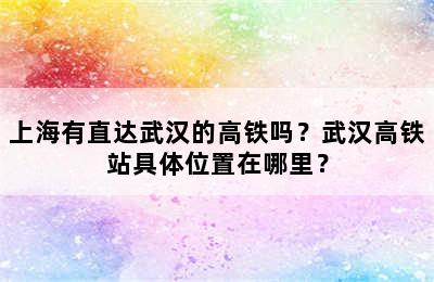 上海有直达武汉的高铁吗？武汉高铁站具体位置在哪里？