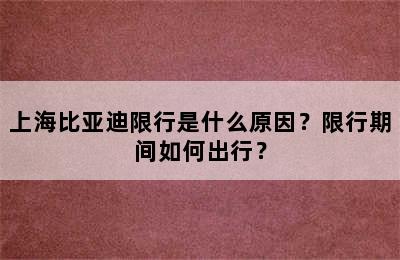 上海比亚迪限行是什么原因？限行期间如何出行？