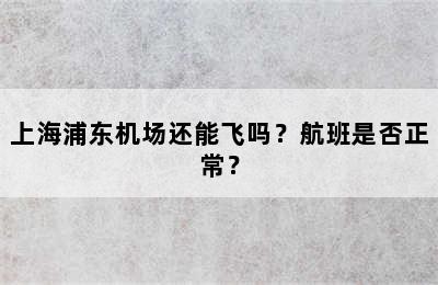 上海浦东机场还能飞吗？航班是否正常？