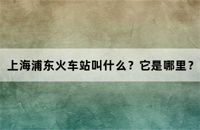 上海浦东火车站叫什么？它是哪里？