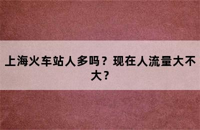 上海火车站人多吗？现在人流量大不大？