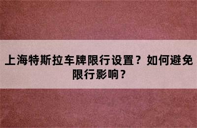 上海特斯拉车牌限行设置？如何避免限行影响？