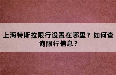上海特斯拉限行设置在哪里？如何查询限行信息？