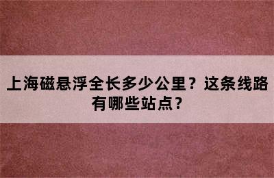 上海磁悬浮全长多少公里？这条线路有哪些站点？