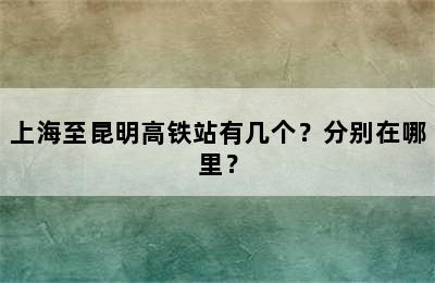 上海至昆明高铁站有几个？分别在哪里？