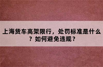 上海货车高架限行，处罚标准是什么？如何避免违规？