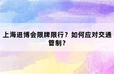 上海进博会限牌限行？如何应对交通管制？
