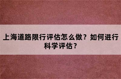 上海道路限行评估怎么做？如何进行科学评估？