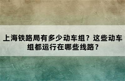 上海铁路局有多少动车组？这些动车组都运行在哪些线路？