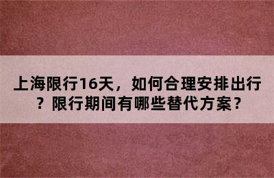 上海限行16天，如何合理安排出行？限行期间有哪些替代方案？