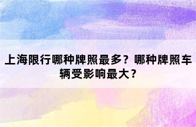 上海限行哪种牌照最多？哪种牌照车辆受影响最大？