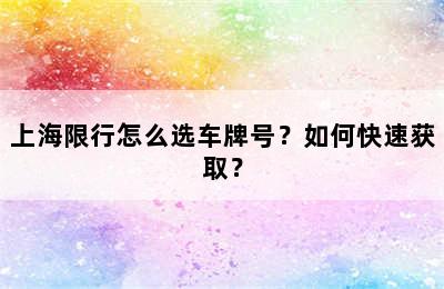 上海限行怎么选车牌号？如何快速获取？