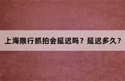 上海限行抓拍会延迟吗？延迟多久？