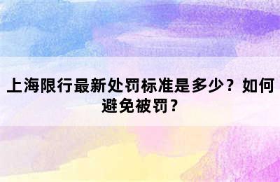 上海限行最新处罚标准是多少？如何避免被罚？