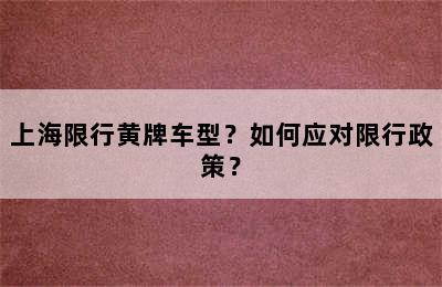 上海限行黄牌车型？如何应对限行政策？