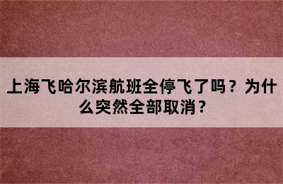 上海飞哈尔滨航班全停飞了吗？为什么突然全部取消？