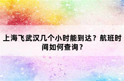上海飞武汉几个小时能到达？航班时间如何查询？