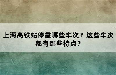 上海高铁站停靠哪些车次？这些车次都有哪些特点？