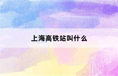 上海高铁站叫什么