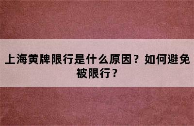 上海黄牌限行是什么原因？如何避免被限行？
