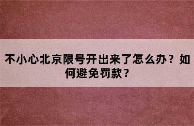 不小心北京限号开出来了怎么办？如何避免罚款？