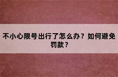 不小心限号出行了怎么办？如何避免罚款？