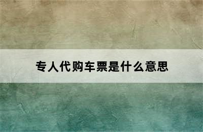 专人代购车票是什么意思