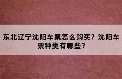东北辽宁沈阳车票怎么购买？沈阳车票种类有哪些？