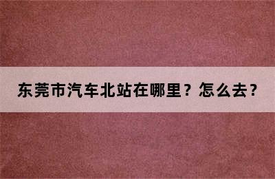 东莞市汽车北站在哪里？怎么去？