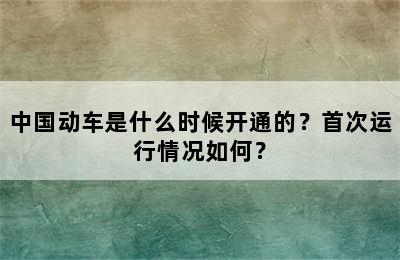 中国动车是什么时候开通的？首次运行情况如何？
