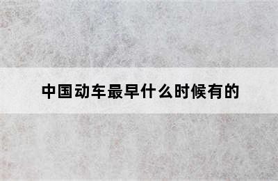中国动车最早什么时候有的