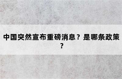中国突然宣布重磅消息？是哪条政策？